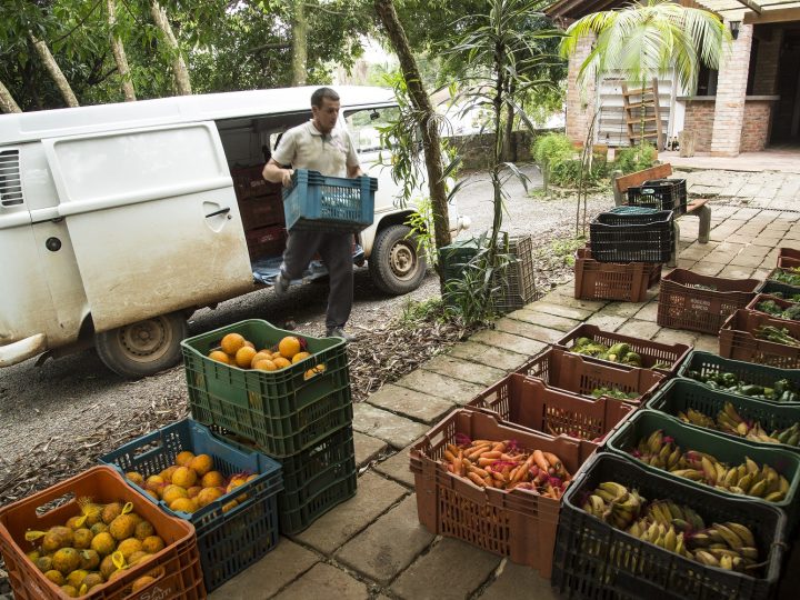 16 de Outubro – Dia Mundial da Alimentação