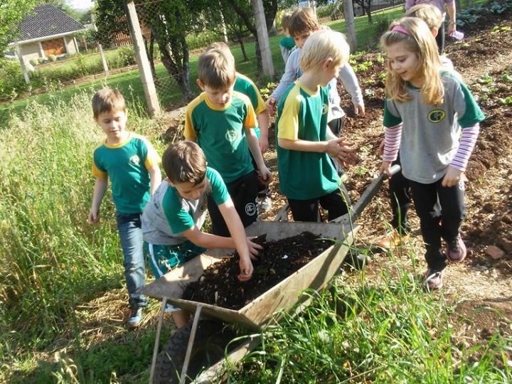 Alunas e alunos da Educação Infantil produzem hortaliças na escola