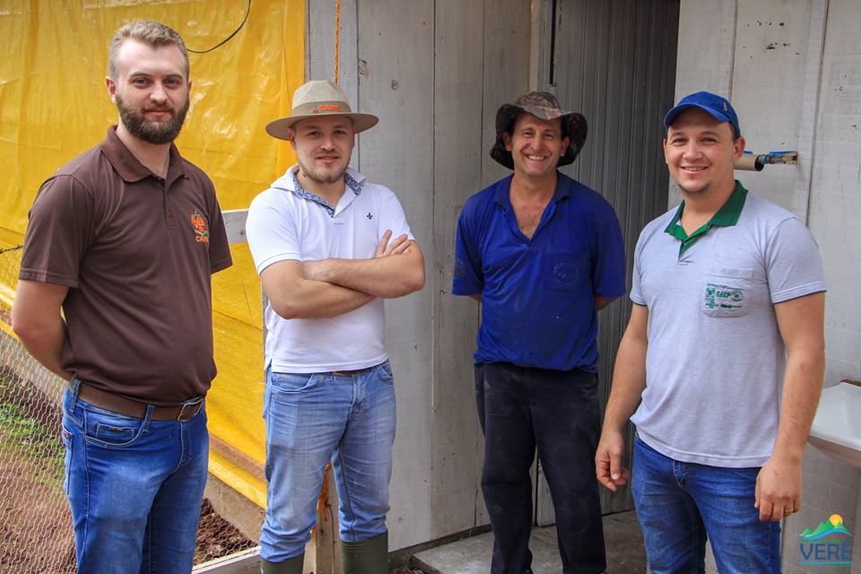 Projeto Frango Caipira aloja primeiro lote de pintainhos em Verê