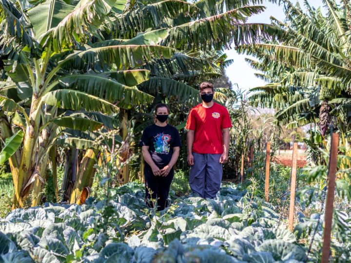 CAPA e famílias parceiras preparam 712 cestas para entrega em Guaíra e Terra Roxa