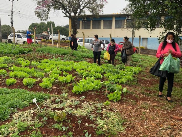 Horta comunitária coletiva responde a desafio de novos tempos