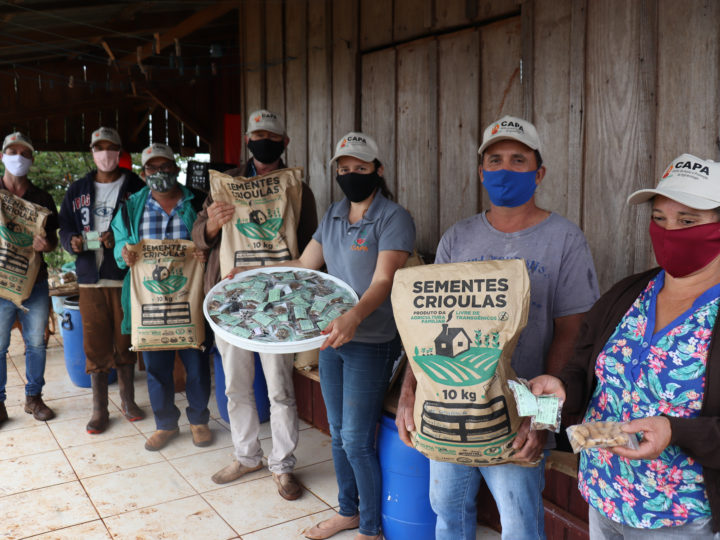 450 quilos de sementes crioulas serão distribuídos a famílias no Oeste do Paraná
