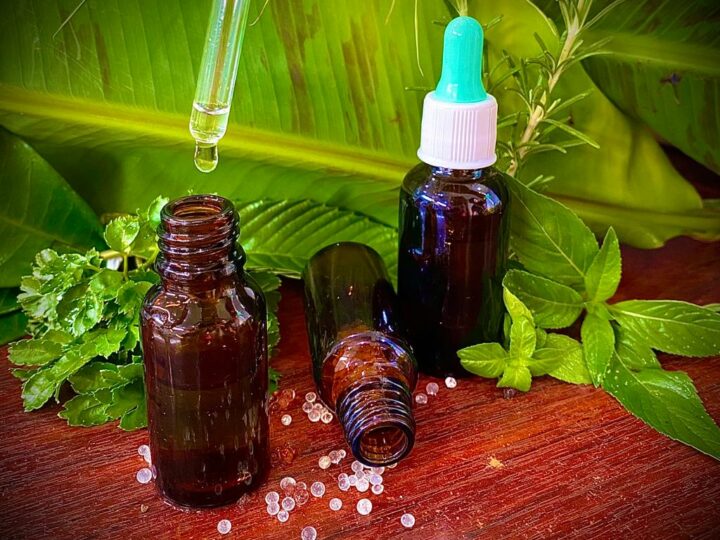Começa sétimo curso de homeopatia na agricultura
