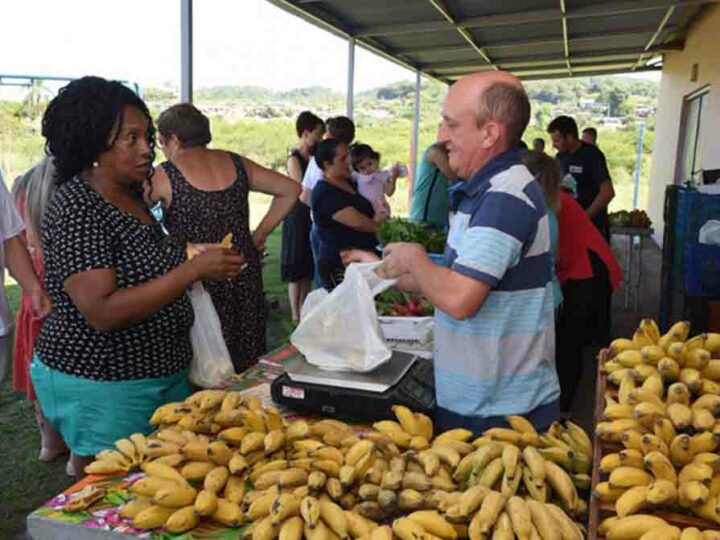 Moradores da periferia de Santa Cruz do Sul (RS) agora têm acesso à feira orgânica e agroecológica