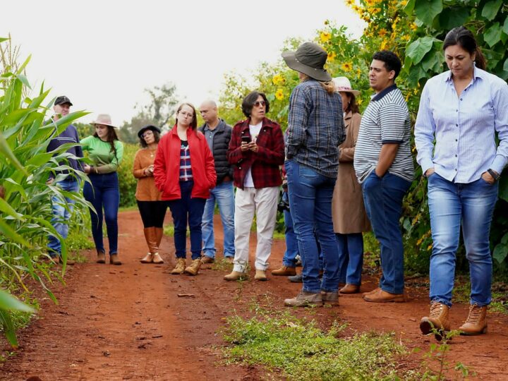 Encontro presencial da 8ª turma do curso de Homeopatia na Agricultura em Marechal Cândido Rondon (PR)