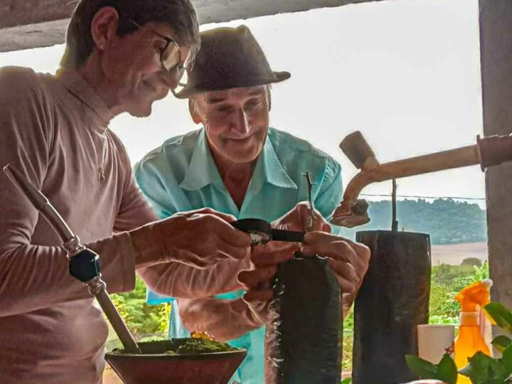 Oficina de enxertia resgata sabedoria da influência lunar na agricultura