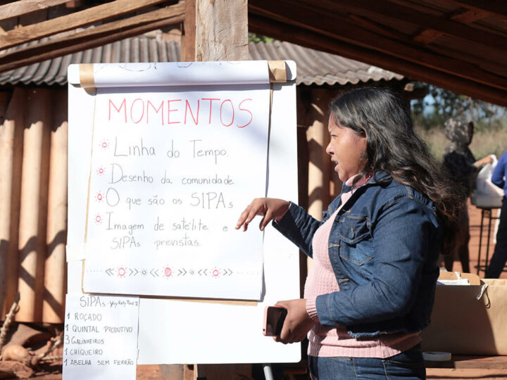 Sistemas Indígenas de Produção  Agroecológica avançam nos territórios Guarani do Oeste e Litoral do Paraná