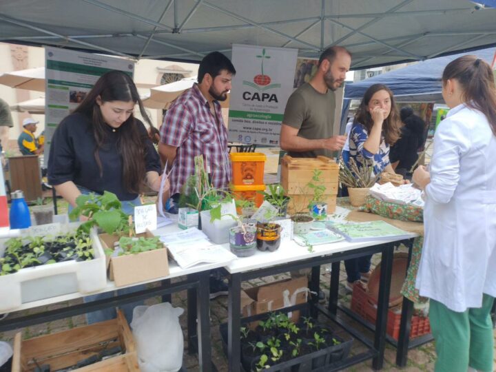 Atividade promove a alimentação saudável através do fortalecimento da agroecologia