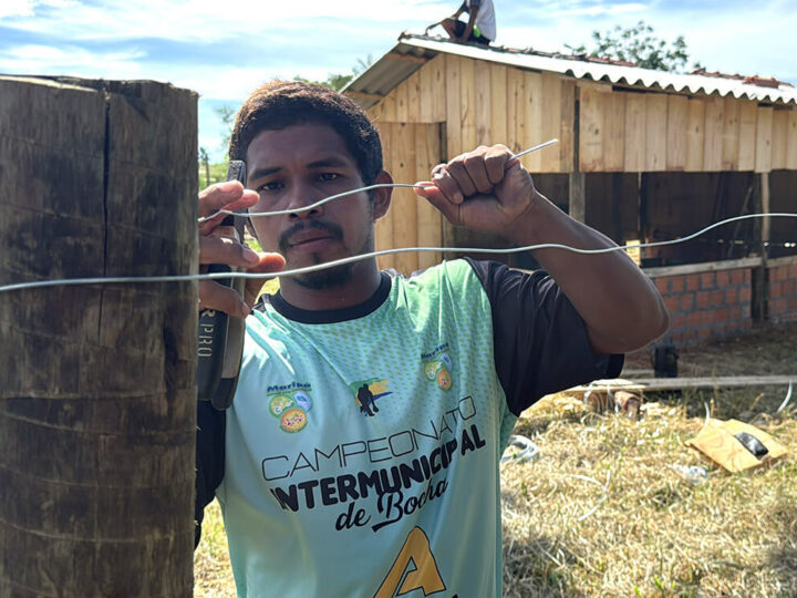 Galinheiros comunitários fortalecem segurança alimentar em comunidades indígenas do Paraná